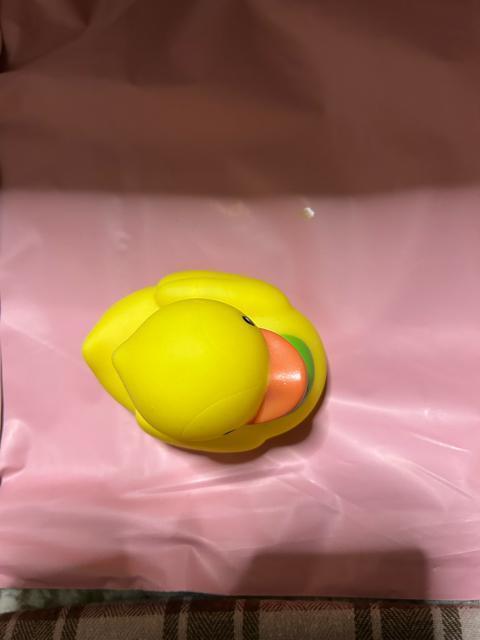 お風呂タイム アヒル < インテリア/ライフ お風呂タイム アヒル < インテリア/ライフの