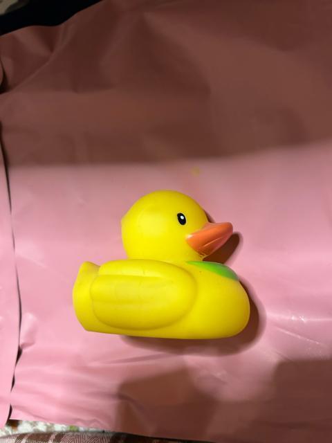 お風呂タイム アヒル < インテリア/ライフ お風呂タイム アヒル < インテリア/ライフの