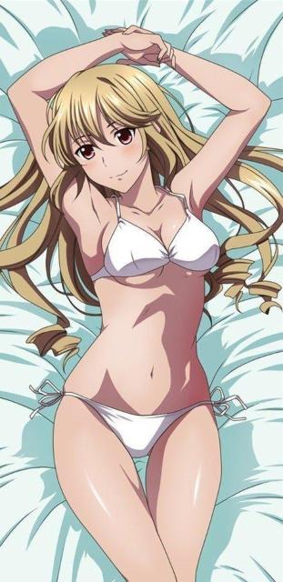 �X�g���C�N�E�U�E�u���b�h ���H��K �������J�o�[ �� �A�j��/�R�~�b�N/�L�����N�^�[�� 