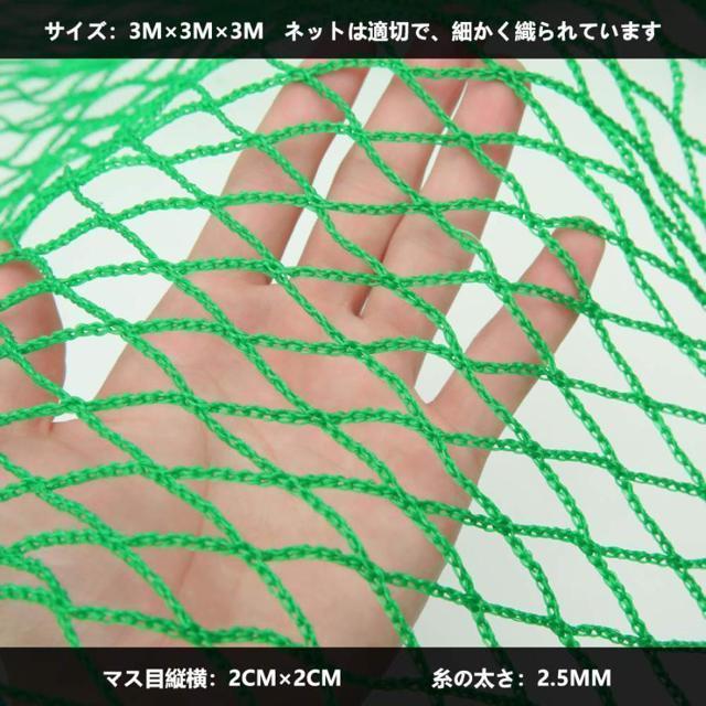 Stlbg Kplbg 3M~3M ܂ K ^   K[W 싅 ejX TbJ[ K |  W[/X|[c 