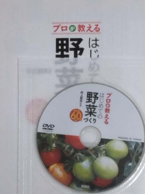 Ё{DVD/ƒ؉//oyC萔&i䂤pPbgj0~@v͂߂Ă̖؂Â  {/G 