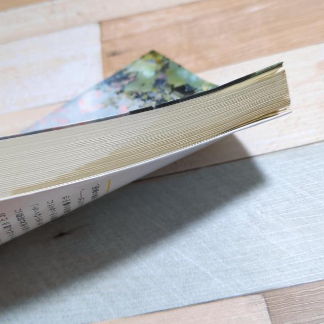世界でいちばん透きとおった物語 杉井光 < 本/雑誌  世界でいちばん透きとおった物語 杉井光 < 本/雑誌の