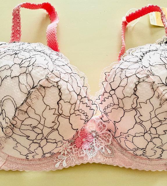 VA[W@ꂢȃVGbgL[vPB2620  E70  t@bV 