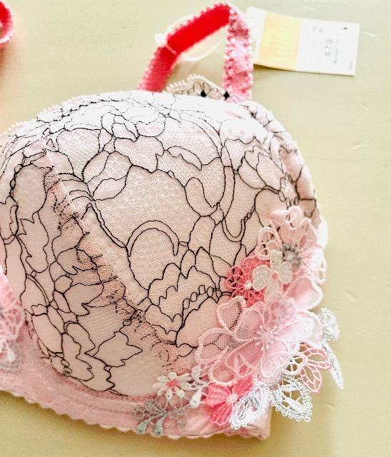 VA[W@ꂢȃVGbgL[vPB2620  E70  t@bV 