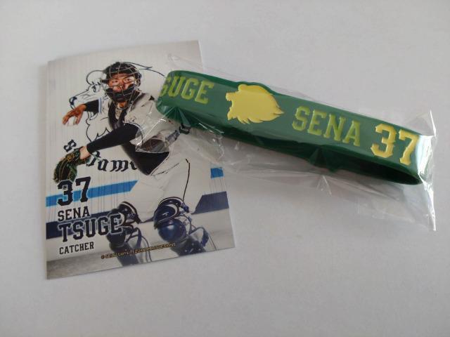 ʐCIY2023 V[NbgVRohELRJ[h 37 ѐAߑI   W[/X|[c 