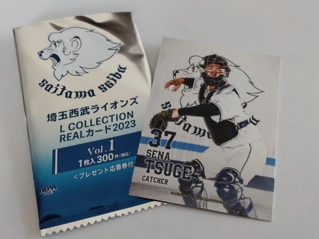 ʐCIY2023 V[NbgVRohELRJ[h 37 ѐAߑI  W[/X|[c 