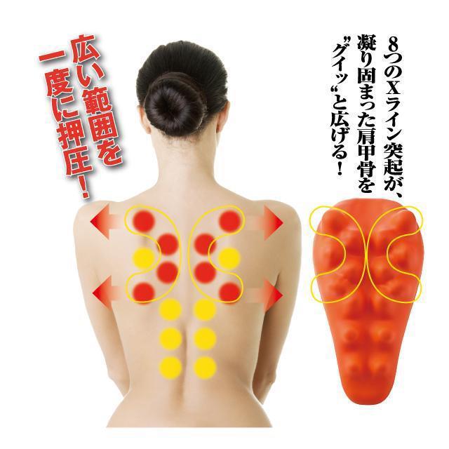 OC obNXgb`[ w Â R Â Xgb` ɘa bNX }bT[W c{    wX/r[eB[ 