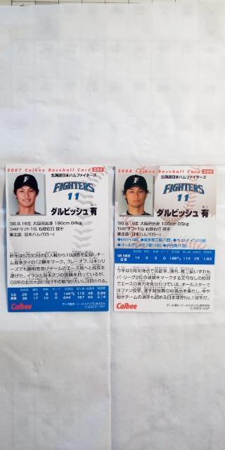 2007E2008v싅`bvXE{n _rbVLM[J[h2  g[fBOJ[h 