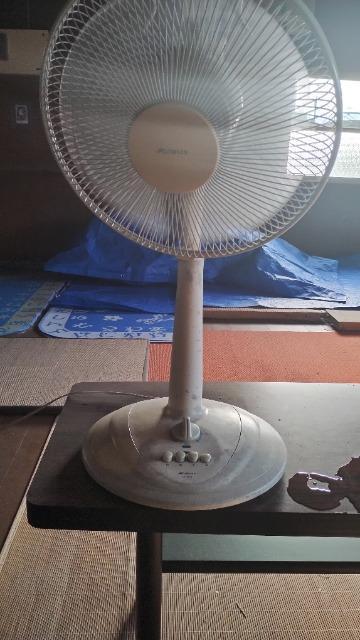 ◆引取限定/中古/扇風機/ < 家電/AV  ◆引取限定/中古/扇風機/  < 家電/AVの