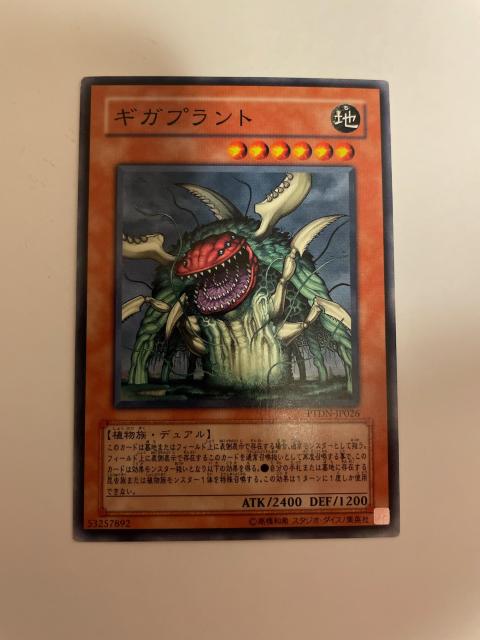 VYynEMKvgz  g[fBOJ[h 