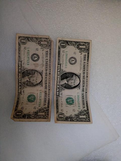 アメリカ < ホビー アメリカ < ホビーの