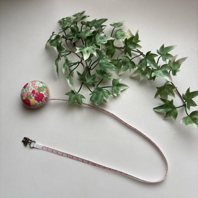 nhCh@ԂƔL@ځ@}JW[ ٖD @ށ@G