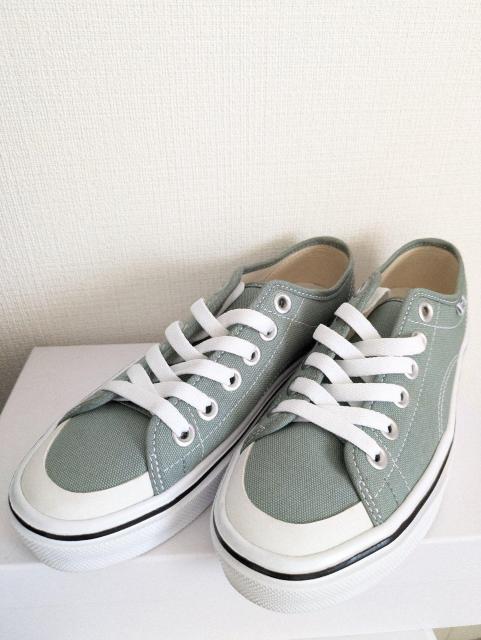 VANSXj[J[C22.5u3840600` 