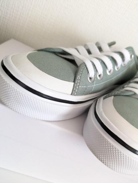 VANSXj[J[C22.5u3840600`