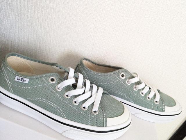 VANSXj[J[C22.5u3840600`