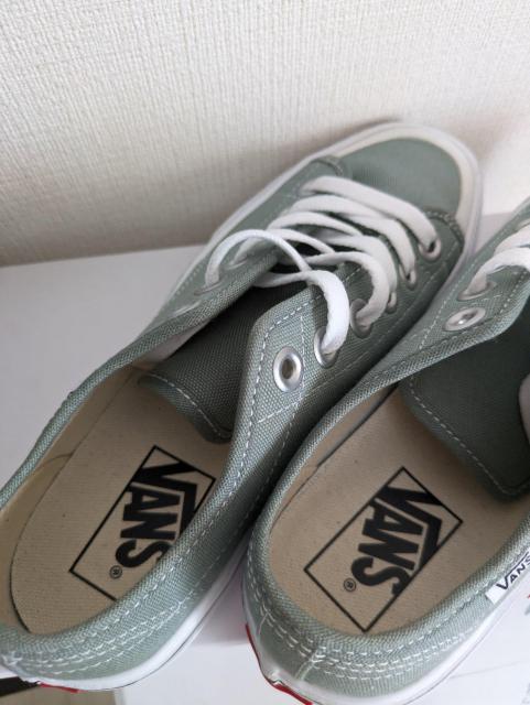 VANSXj[J[C22.5u3840600`