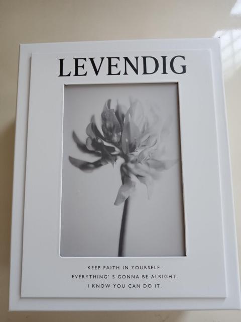 メモリアルボックス(クリスマス) < ペット/手芸/園芸 メモリアルボックス(クリスマス) < ペット/手芸/園芸の