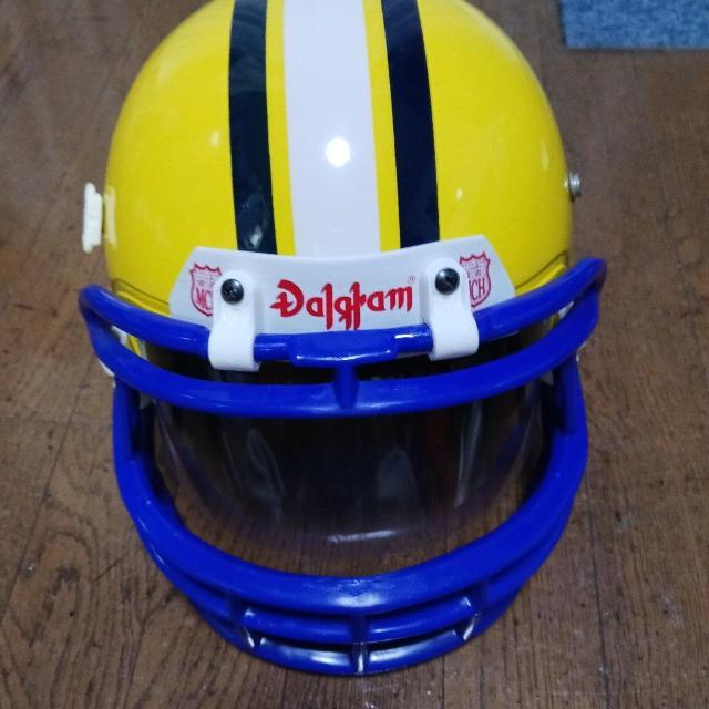 アメフト、グリーンペイパッカーズ、レプリカ < レジャー/スポーツ アメフト、グリーンペイパッカーズ、レプリカ < レジャー/スポーツの