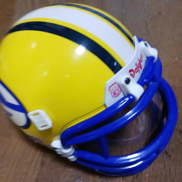 アメフト、グリーンペイパッカーズ、レプリカ < レジャー/スポーツ アメフト、グリーンペイパッカーズ、レプリカ < レジャー/スポーツの