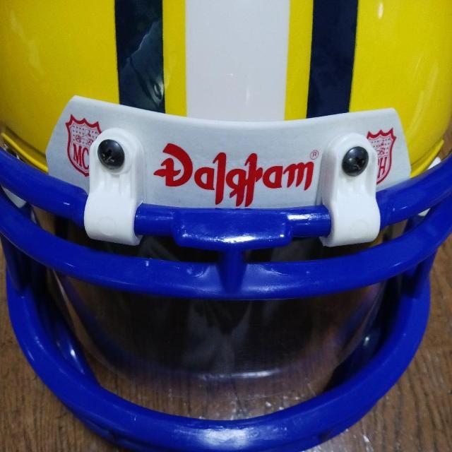 アメフト、グリーンペイパッカーズ、レプリカ < レジャー/スポーツ アメフト、グリーンペイパッカーズ、レプリカ < レジャー/スポーツの