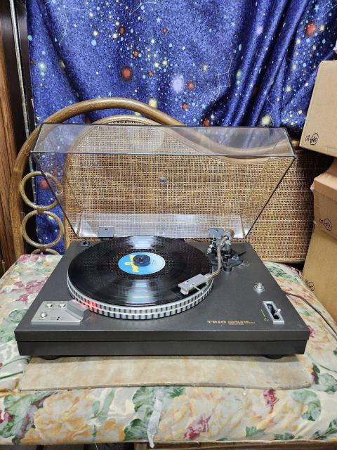 KXgAϔiIJ[gbWViITORIOR[hv[[KP-R405   Ɠd/AV 