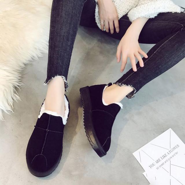  Vi JV fB[X [gV[Y~  t@bV 