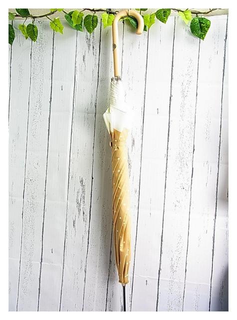 500�~�X�^�����K�i�|�������t���[�����@�J�P�@USED�i