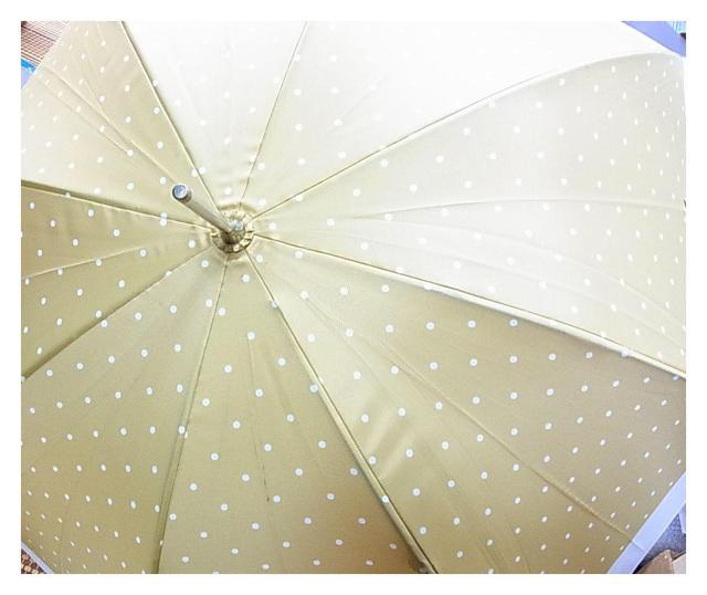 500�~�X�^�����K�i�|�������t���[�����@�J�P�@USED�i