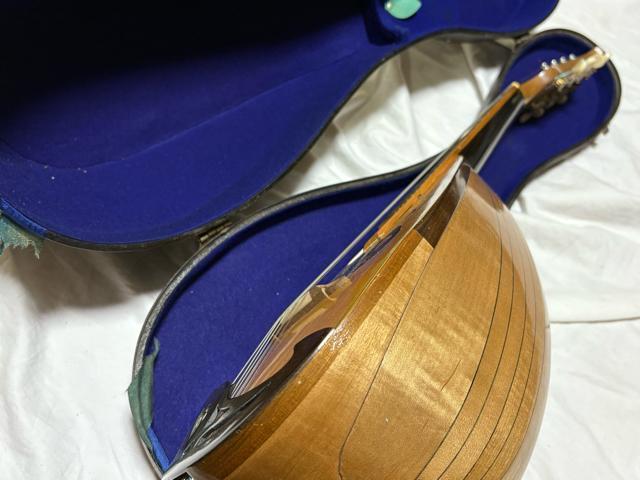 SUZUKIバイオリン製 マンドリン No.203 1963年1915-09-1 < ホビー SUZUKIバイオリン製 マンドリン No.203 1963年1915-09-1 < ホビーの