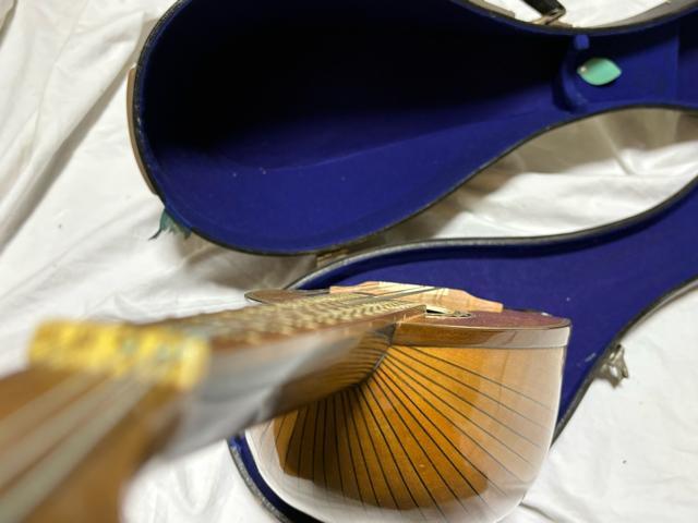 SUZUKIバイオリン製 マンドリン No.203 1963年1915-09-1 < ホビー SUZUKIバイオリン製 マンドリン No.203 1963年1915-09-1 < ホビーの