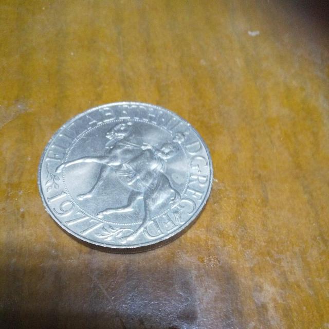 �R�C�� �� �j���A�N�Z�T���[/���v�� 