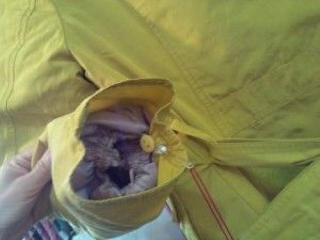 黄色ジャケットインナーダウンコート3ウェ イ便利秋冬春用M < 女性ファッション  黄色ジャケットインナーダウンコート3ウェ イ便利秋冬春用M < 女性ファッションの