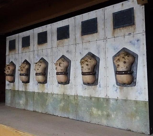 192_�N�m�R���ǖ�A �� �z�r�[�� 