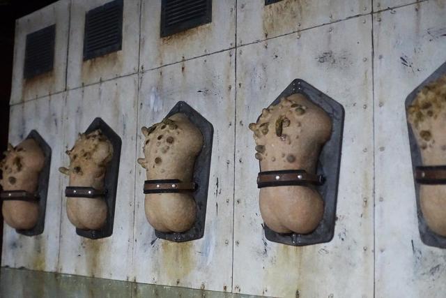 192_�N�m�R���ǖ�A �� �z�r�[�� 