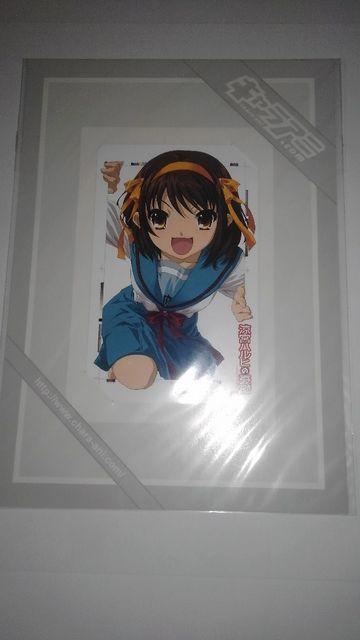 {nq@񔄕i @}J[h@eJ@܂t SN  `Pbg/ 