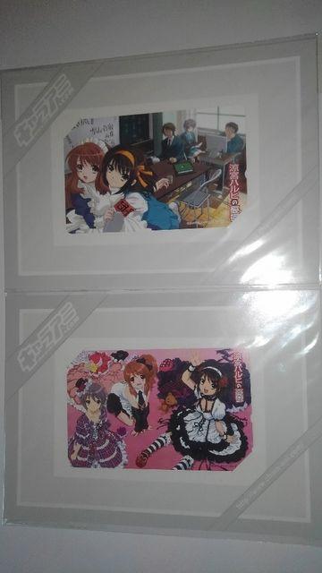 {nq@񔄕i @}J[h@eJ@܂t SN  `Pbg/ 