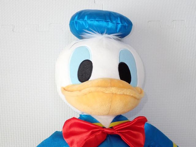 fBYj[ hih_bN XN[fr[ BIGʂ   