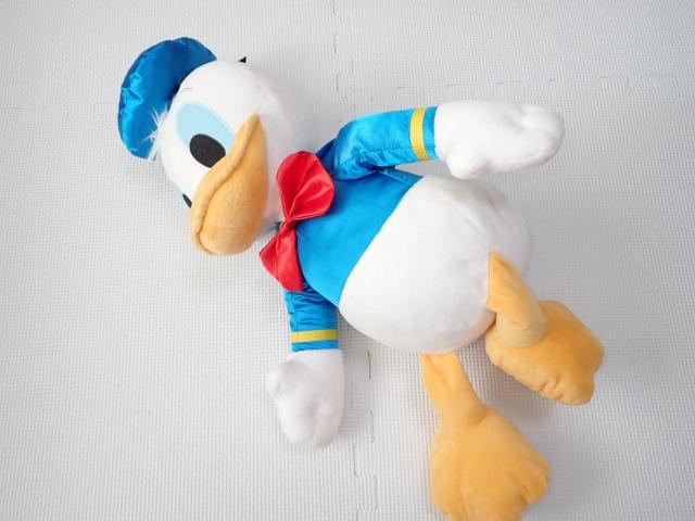 fBYj[ hih_bN XN[fr[ BIGʂ   