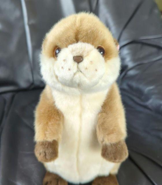 ゆうパック送料込■カワウソ ぬいぐるみ■コツメカワウソ ぬいぐるみ■株式会社AQUA 可愛いお顔 < おもちゃ ゆうパック送料込■カワウソ ぬいぐるみ■コツメカワウソ ぬいぐるみ■株式会社AQUA 可愛いお顔 < おもちゃの