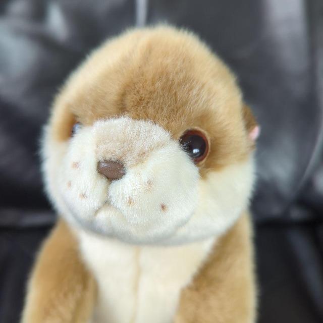 ゆうパック送料込■カワウソ ぬいぐるみ■コツメカワウソ ぬいぐるみ■株式会社AQUA 可愛いお顔 < おもちゃ ゆうパック送料込■カワウソ ぬいぐるみ■コツメカワウソ ぬいぐるみ■株式会社AQUA 可愛いお顔 < おもちゃの