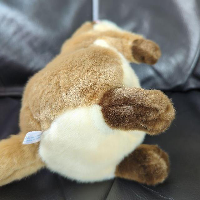 ゆうパック送料込■カワウソ ぬいぐるみ■コツメカワウソ ぬいぐるみ■株式会社AQUA 可愛いお顔 < おもちゃ ゆうパック送料込■カワウソ ぬいぐるみ■コツメカワウソ ぬいぐるみ■株式会社AQUA 可愛いお顔 < おもちゃの