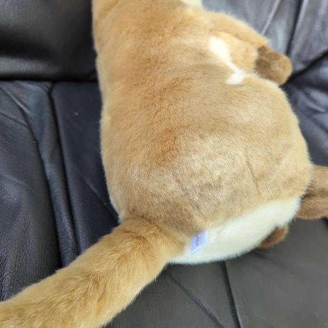 ゆうパック送料込■カワウソ ぬいぐるみ■コツメカワウソ ぬいぐるみ■株式会社AQUA 可愛いお顔 < おもちゃ ゆうパック送料込■カワウソ ぬいぐるみ■コツメカワウソ ぬいぐるみ■株式会社AQUA 可愛いお顔 < おもちゃの