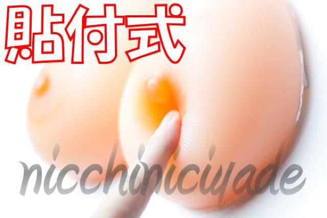 【粘着式】やめられない!■シリコンバスト800g人工乳房豊胸 < 女性ファッション  【粘着式】やめられない!■シリコンバスト800g人工乳房豊胸 < 女性ファッションの
