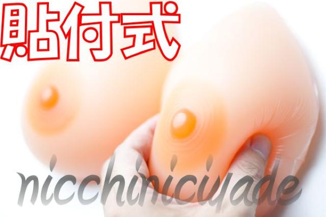 【粘着式】やめられない!■シリコンバスト800g人工乳房豊胸 < 女性ファッション  【粘着式】やめられない!■シリコンバスト800g人工乳房豊胸 < 女性ファッションの