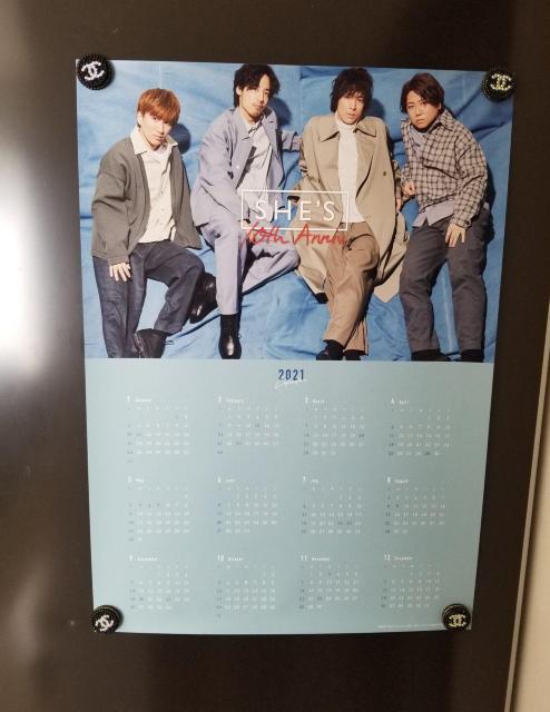 Vi SHE'S |X^[ 10th Anniv J_[ 񔄕i mxeB   ^gObY 