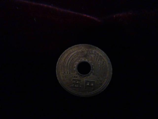 N5~d݂T~ 50212 !!!  zr[ 