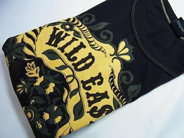 500~X^KfB[[@DIESEL@TVcfB[X@ MTCY