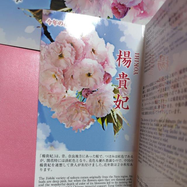 y⃁_z̒ʂ蔲2021v[tݕZbg@kM܁@Vo[925