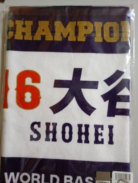 2023WBC DLO@Jĕ@tFCX^I   W[/X|[c 