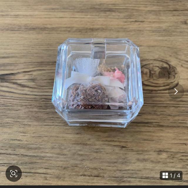 �|�v�����聚�v���X�`�b�N�P�[�X����B�C���e���A  �� �C���e���A/���C�t�� 